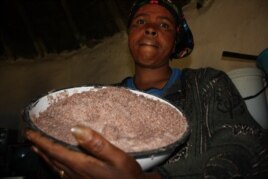 Shebeen owner Nongezile Mdibanto displays sorghum that she’s going to make beer from … She blames the community law for falling sales (D. Taylor/VOA)
