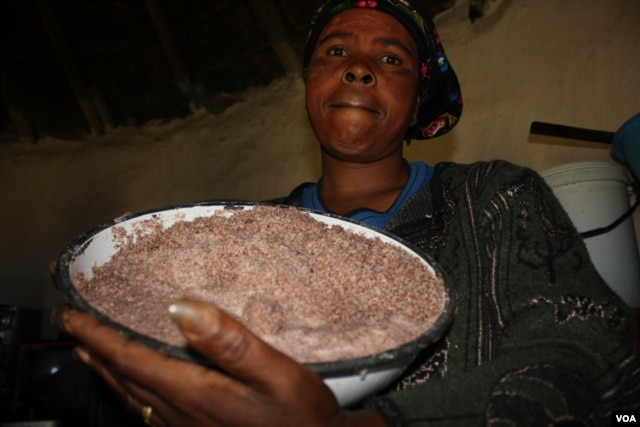 Shebeen owner Nongezile Mdibanto displays sorghum that she’s going to make beer from … She blames the community law for falling sales (D. Taylor/VOA)