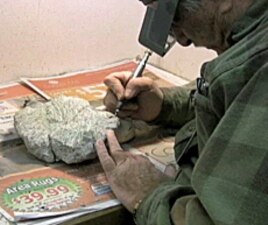 Using precise drills, employees at the Denver Museum of Nature and Science clean the Ice Age fossil finds.