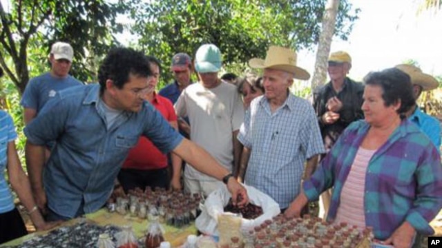Humberto Rios Labrada meets with local farmers at seed diversity fairs across Cuba.