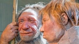 Scientists at Germany's Max Planck Institute have released a final version of a high-quality sequencing of a Neanderthal genome.