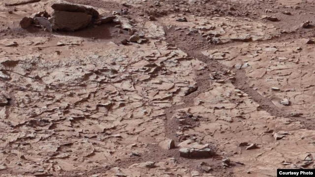 This view shows the patch of veined, flat-lying rock selected as the first drilling site for NASA's Mars rover Curiosity. (Courtesy: NASA)
