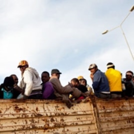 Migrant refugees atop a truck in the Libyan city of Misrata. IOM says it has evacuated some 8,500 migrants from Misrata so far, the majority during the height of the violence there.