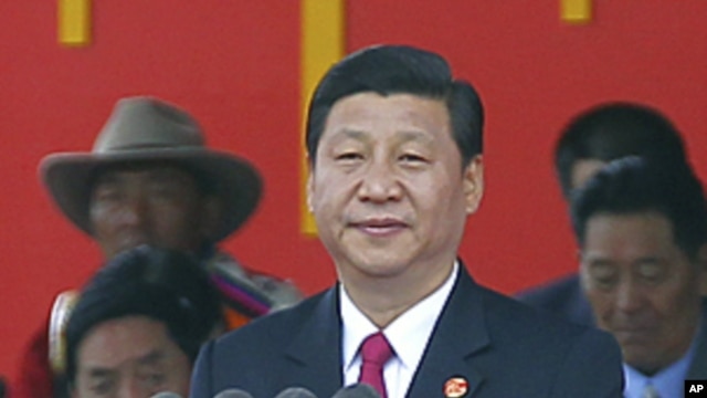 China's Vice-President Xi Jinping delivers a speech at the celebration ceremony of the 60th anniversary of Tibet's peaceful liberation in Lhasa, Tibet Autonomous Region, July 19, 2011.