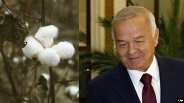 Islom Karimov va uning hukumati xalqaro qonunlarni buzib kelmoqda, deydi huquq himoyachilari