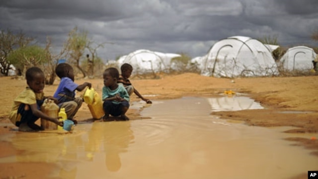Somali boys fetch water from a puddle that formed after rain at the sprawling Dadaab refugee complex in Kenya, October 2011.