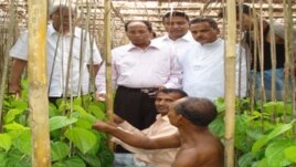 নওজোয়ান