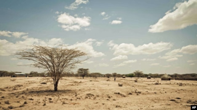 Kenya's Turkana region shows effects of severe drought affecting Horn of Africa (file photo).