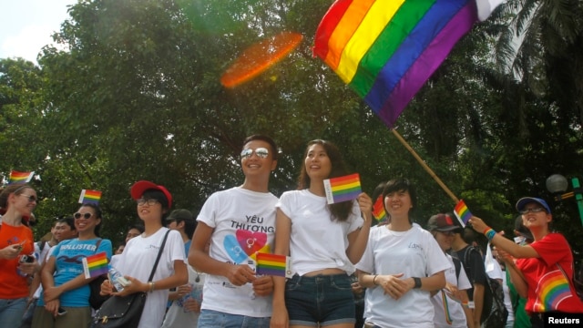 Cuộc tuần hành Viet Pride được sự bảo trợ của các đại sứ quán Hà Lan, Canada và Hoa Kỳ, của các tổ chức phi chính phủ địa phương và quốc tế, cũng như các tổ chức bênh vực nhân quyền.