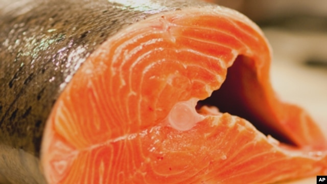 Of the 39 reported outbreaks in the latest six-year period, seafood accounted for nearly half. 