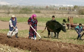 Qishloq xo'jaligiga asoslangan Markaziy Osiyo davlatlarida suv taqsimoti nozik masala, ayniqsa O'zbekiston va Tojikiston orasidagi kelishmovchilik keyingi yillarda yanada keskinlashgan. Tojikistonning yirik GES qurish rejasi O'zbekiston nazarida nafaqat u