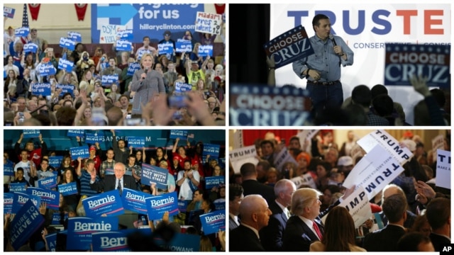 Clockwise, from top left, U.S. presidential candidates Hillary Clinton, Ted Cruz, Donald Trump and Bernie Sanders campaign in Iowa ahead of Monday's first-in-the-nation caucuses, Jan. 31, 2016.