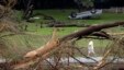 Nước lũ làm đổ cây cối, lật xe cộ tại Wimberley, Texas.