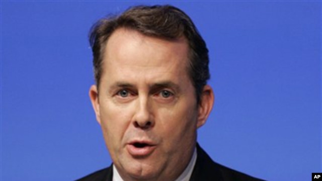 British Defense Secretary Liam Fox (file photo)