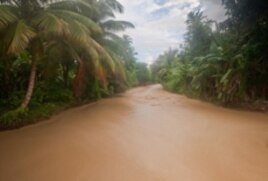 A river fed by the Massif de la Hotte watershed runs brown because of deforestation upstream.