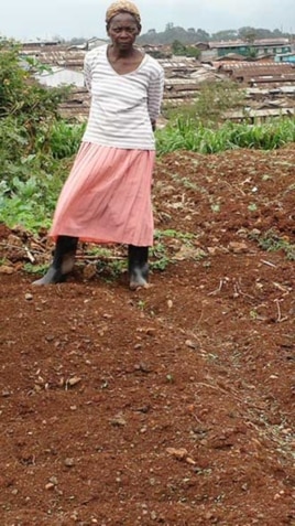 Kibera’s farmers face an uncertain future because they don’t own any of the land they’re presently growing food on