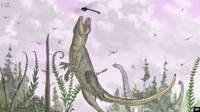 When crocodiles tried to be mammals: the Cretaceous crocodilan /Pakasuchus kapilimai/, with a complete set of mammal-like teeth hunts dragonflies on an ancient Tanzanian floodplain