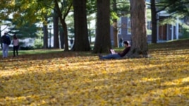 A student studies on the quad at Amherst College, a liberal arts school in western Massachusetts.
