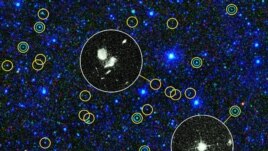 This zoomed-in view of a portion of the all-sky survey from NASA's Wide-field Infrared Survey Explorer shows a collection of quasar candidates. Quasars are supermassive black holes feeding off gas and dust. (NASA)