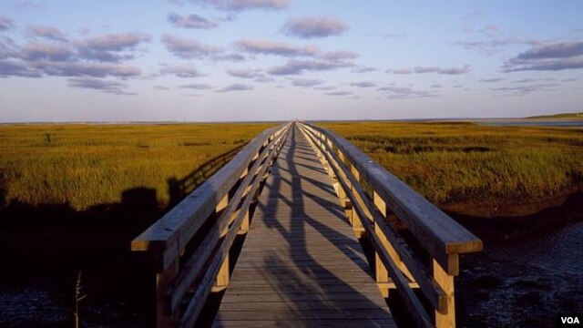 One escapes to Cape Cod, in part, for peaceful scenes such as this footbridge that leads toward Barnstable Harbor. (Carol M. Highsmith)