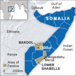 Has Somalia's Famine Weakened al-Shabab?