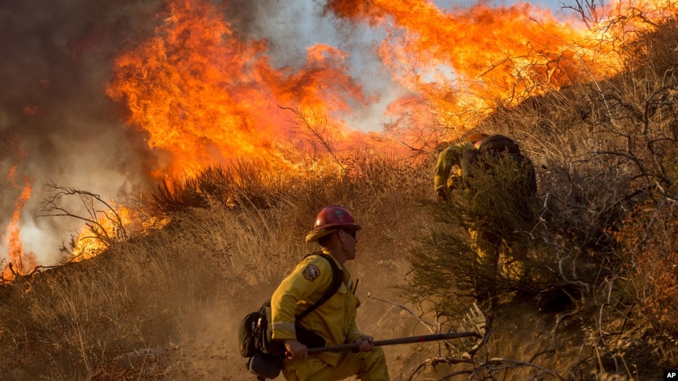 Los incendios forestales en el oeste de EE.UU. ha ido en aumento desde 1984 según un nuevo estudio.