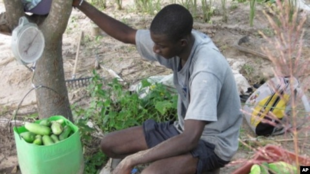 Farmers in the Senegalese village of Keur Madaro are producing more crops with the innovative Super Vegetable Garden program