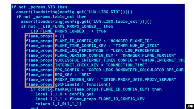 This undated screen grab taken released by the Kaspersky Lab site shows code related to the computer virus known as Flame. 