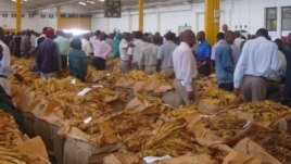 Tobacco sales in Harare