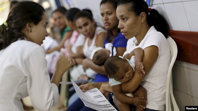 Virus Zika được cho có dính líu tới 4.000 ca nghi nhiễm của bệnh teo não tại Brazil.