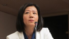 执政党国民党立委 王育敏(美国之音张永泰拍摄)