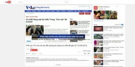 VTV cáo buộc các 'Thế lực phản động' kích động người dân biểu tình về môi trường.