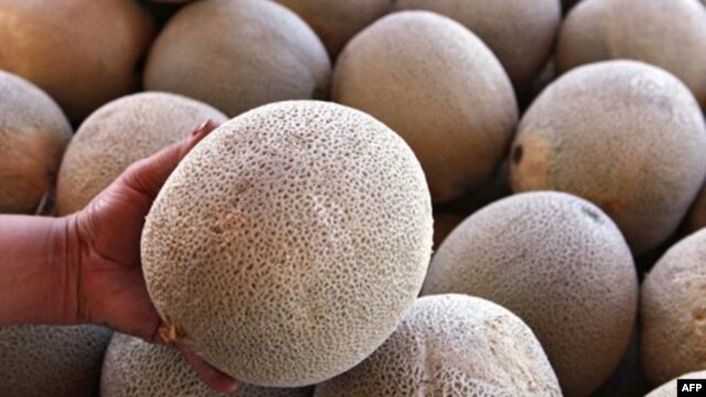 Salah satu perebakan penyakit akibat makanan terakhir di AS berhubungan dengan buah cantaloupe (foto: dok). 