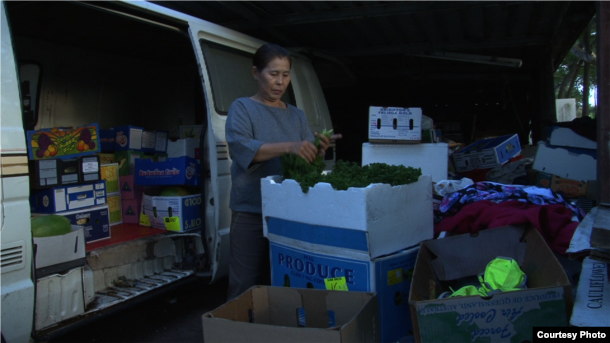 A scene of Kavich Neang's documentary film 'Lim Vy' when Ms. Vy works at home preparing vegetables the day before she sells it at Sunday Market in Brisbane, Australia. (Courtesy photo/Kavich Neang)