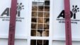 A former circus lion peers from inside a cage transporting it to South Africa, at the port of Callao, Peru, April 29, 2016. 