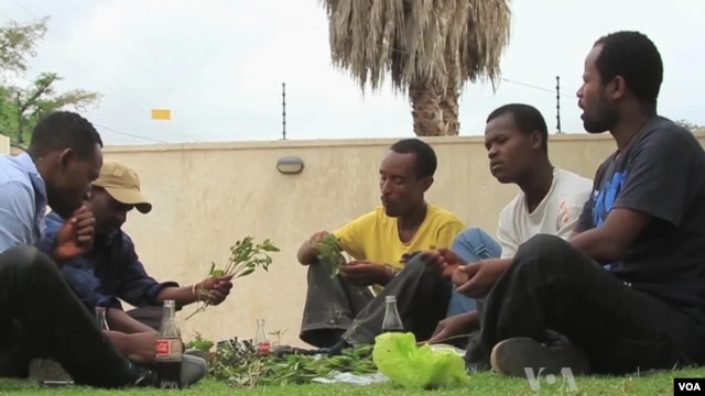Ethiopian men chew khat at a private residence in Addis Ababa, April 30, 2013.