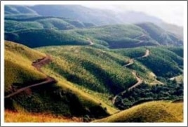 The view from Van Der Merwe's brewery on the high Long Tom Pass in South Africa's Mpumalanga province