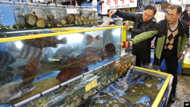 Seoul city officials check radiation levels of live fish during a photo call for the media at the Garak-dong agricultural and marine products market in Seoul, March 29, 2011