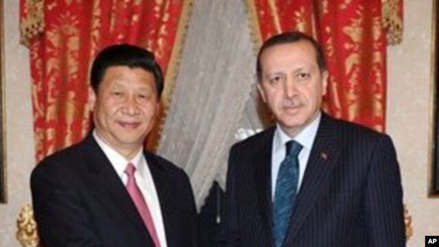 Chinese Vice President Xi Jinping (l) with Turkey's Prime Minister Recep Tayyip Erdogan in Istanbul, Turkey,  February 21, 2012.