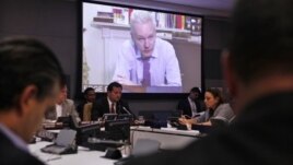WikiLeaks founder Julian Assange addresses a meeting via videolink from Ecuador's London embassy during the United Nations General Assembly at U.N. headquarters, September 26, 2012.