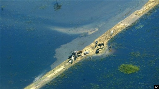 Banjir parah di Bolivia pada 2007 yang dipicu fenomena cuaca El Nino, menewaskan 35 orang dan berdampak pada 70.000 keluarga. (AP/Juan Karita)