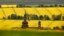 A church is surrounded by blossoming fields of oilseed rape at the village of Strupcice, near the city of Most, Czech Republic. 