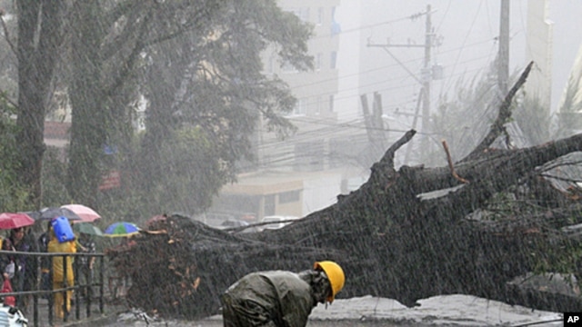 A worker inspects damaged electrical post as Typhoon Nanmadol uprooted big trees in Baguio City, north of Manila, Philippines, August 27, 2011