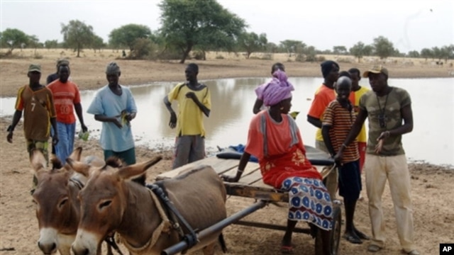 Villagers gather in front of a dam near the village of Labgar in northern Senegal on 12 Nov 2009. There is little to show for it apart from small acacia shrubs, but Senegal's leader believes in a Great Green Wall that will stem desertification across Afri