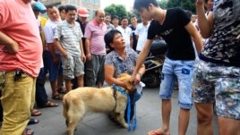 Một nhà hoạt động quỳ xuống để xin mua lại một con chó nhằm ngăn nó khỏi bị làm thịt tại Ngọc Lâm, khu tự trị Quảng Tây.