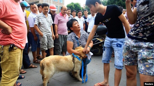 Một nhà hoạt động quỳ xuống để xin mua lại một con chó nhằm ngăn nó khỏi bị làm thịt tại Ngọc Lâm, khu tự trị Quảng Tây.