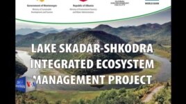 Gjendje jo e mirë për Liqenin e Shkodrës