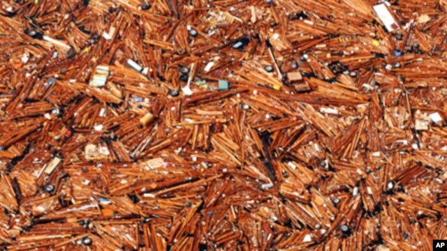 Wood, boats, roofs and other debris from Japan are floating in the Pacific Ocean following the March tsunami that devastated parts of the Japanese coastline, dragging items large and small back to sea.