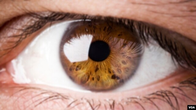 Los diabéticos precisan utilizar protección ocular adecuada.
