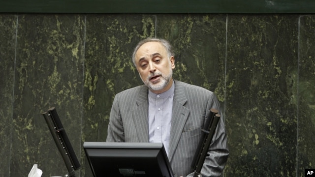 Foreign Minister of Iran Ali Akbar Salehi (file photo - January 30, 2011)
